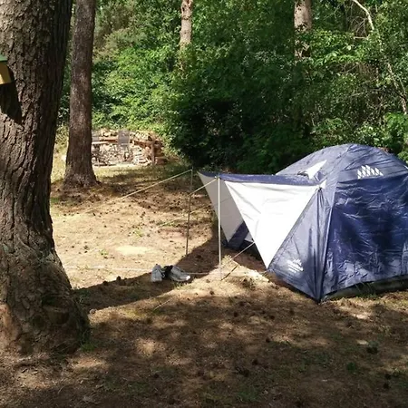 Het Zonnehuisje Zelhem